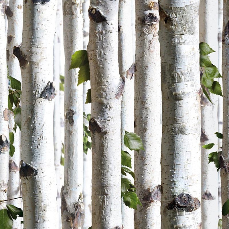 Papel pintado pdwall Botanica Wallpaper Arboles 01j21517