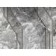 Papel pintado Saint Honoré Automobili Lamborghini 2 1283-Z90060