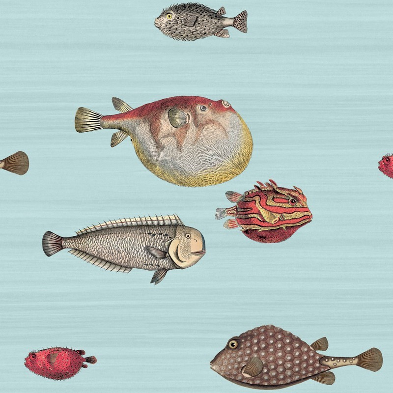 Papel pintado Cole & Son Fornasetti Senza Tempo Acquario 97-10030