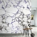Minerals Marbre Carrare MNRL 8813 06 05 Mural Casadeco