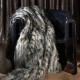 Piel sintética Zinc Textile Shadow Mountain Furs Z337-01 A
