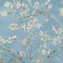 Van Gogh III Blossom 5005338 Papel pintado BN