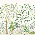 Arboretum Sicamore & Oak 217211 Sanderson Mural