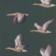 Papel pintado Sanderson Arboretum Elysian Geese Amsterdam Green 216608