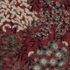 Papel pintado Colowall Beatrice 2401-1100 