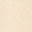 Béton 2 Uni Nacré BTO 10149 14 60 Papel pintado Caselio