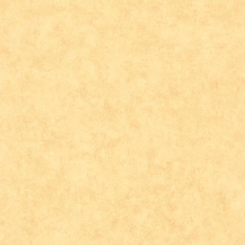 Papel pintado Caselio Béton 2 Uni Mat BTO101482200