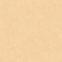Béton 2 Uni Mat BTO 10148 31 00 Papel pintado Caselio
