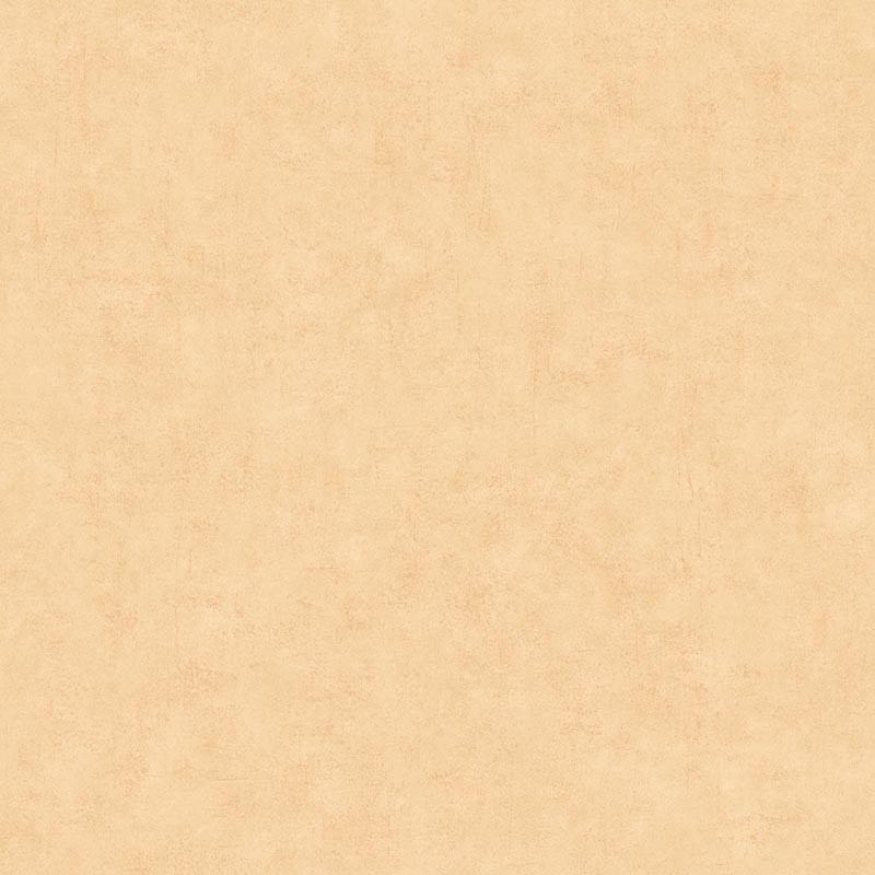 Papel pintado Caselio Béton 2 Uni Mat BTO101483100