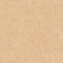 Béton 2 Uni Mat BTO 10148 24 46 Papel pintado Caselio