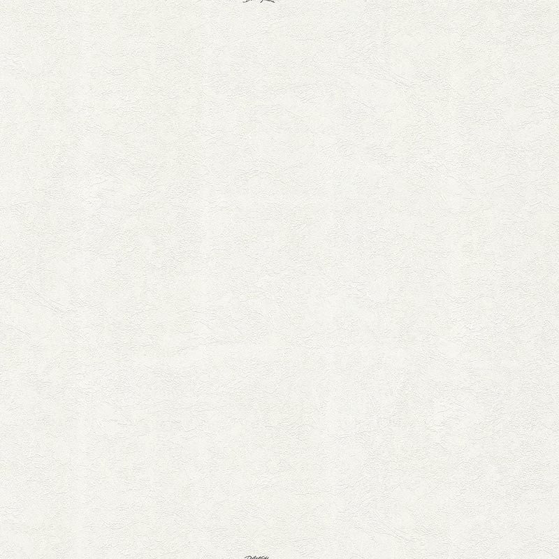 Papel pintado Dolce & Gabbana nº 1 TCW007TCAICU0011