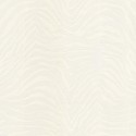 Dolce & Gabbana nº 1 TCW007 TCAI9 UZ026 Papel pintado