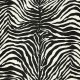 Papel pintado Dolce & Gabbana nº 1 TCW007TCAI9UZ003