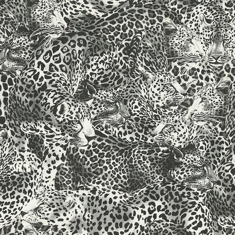 Papel pintado Dolce & Gabbana nº 1 TCW007TCAHOUL030