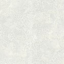 Dolce & Gabbana nº 1 TCW007 TCAHO UL041  Papel pintado