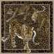 Mural Digital Dolce & Gabbana nº 1 TCW009TCAI5UL040