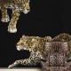 Mural Digital Dolce & Gabbana nº 1 TCW001TCAI5UL015