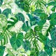 Papel pintado Unipaper Tropicana Home 001-TRO