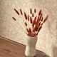 Papel pintado Casadeco So Color 5 Mur Antique COLR88111222