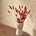 So Color 5 COLR 8811 12 22 Mur Antique Casadeco