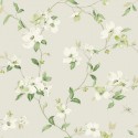 Blooms Dogwood BL1762 York Papel Pintado