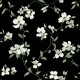 Papel pintado York Wallcoverings Blooms Dogwood BL1764
