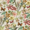 Blooms Butterfly House BL1724 York Papel Pintado