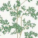 Blooms Lunaria BL1801 York Papel Pintado