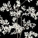 Blooms Lunaria BL1804 York Papel Pintado