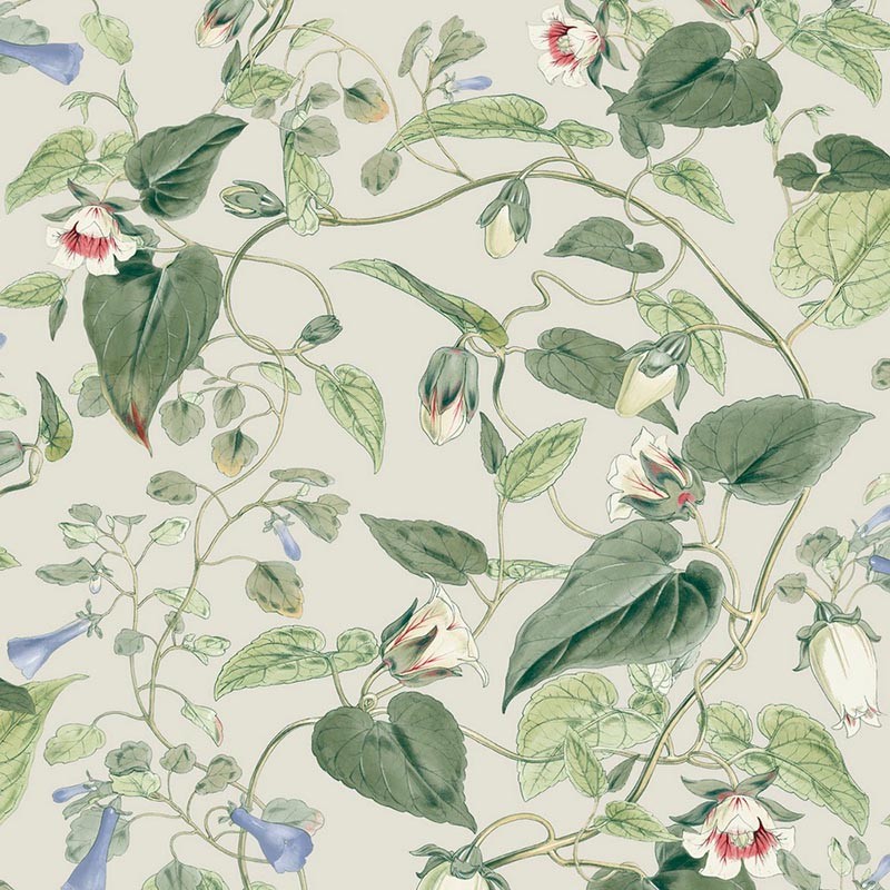 Papel pintado York Wallcoverings Blooms Moon Flower BL1713