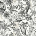 Blooms Rainforest BL1703 York Papel Pintado