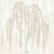 Papel pintado York Wallcoverings After Eights Willow Glow 1881-DT5061