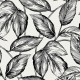 Papel pintado Wallquest Summer House SC20000