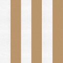 Stripes & Checks A00739N Stripe 8 Curry Coordonné