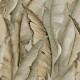 Papel pintado Iberostil Nina Home Wallpapers Perla NHW1043