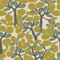 Brazil BA26051 Papel pintado Saint Honoré