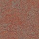 Papel Pintado Saint Honoré Brazil 1182-BA26062