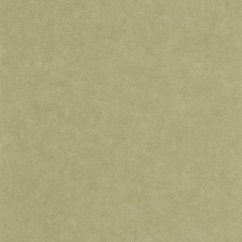 Papel pintado Caselio Ceramique Uni Mat CER105247850