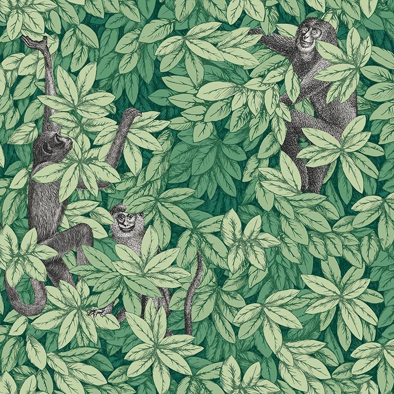 Papel Cole & Son Fornasetti Senza Tempo II Foglie y Scimmie 123-10049
