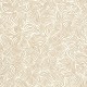 Color Box 3 Papel Caselio CB3103721000