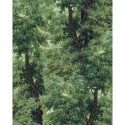 Orient Express WP20785 Mural MindTheGap