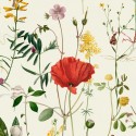 Premium Wallapaper WP20175 Mural MindTheGap