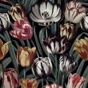 Premium Wallapaper WP20177 Mural MindTheGap