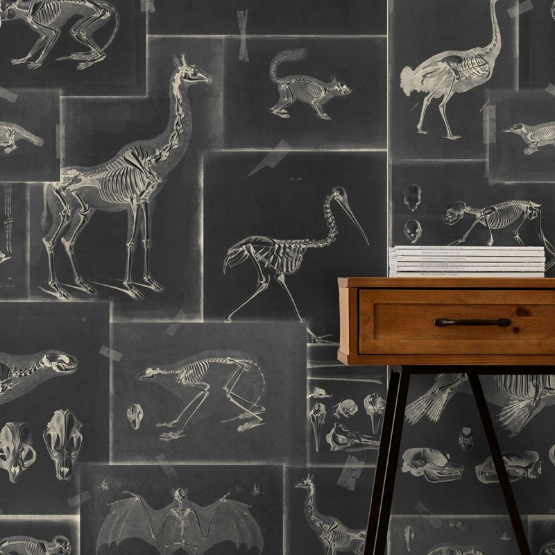 Mural Wallapaper Premium WP20237