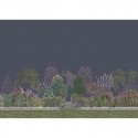 The Gardens Reverie 120/4013 Cole & Son Mural