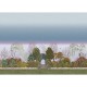 Mural Cole & Son The Gardens Reverie 120/4010