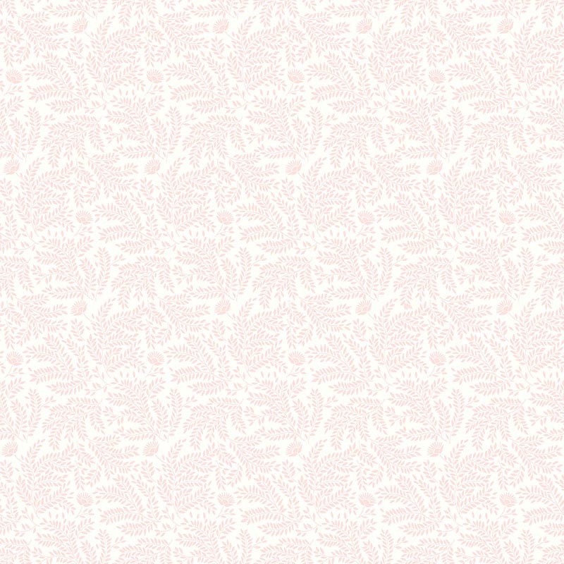 Tartine et Chocolat 2024 Papel infantil 36200303