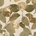 Herbarium 1173-5753 Papel Saint Honoré