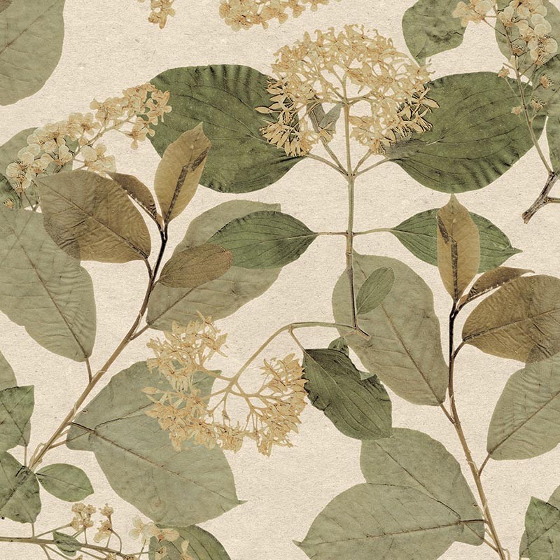 Papel pintado Herbarium 1173-5757