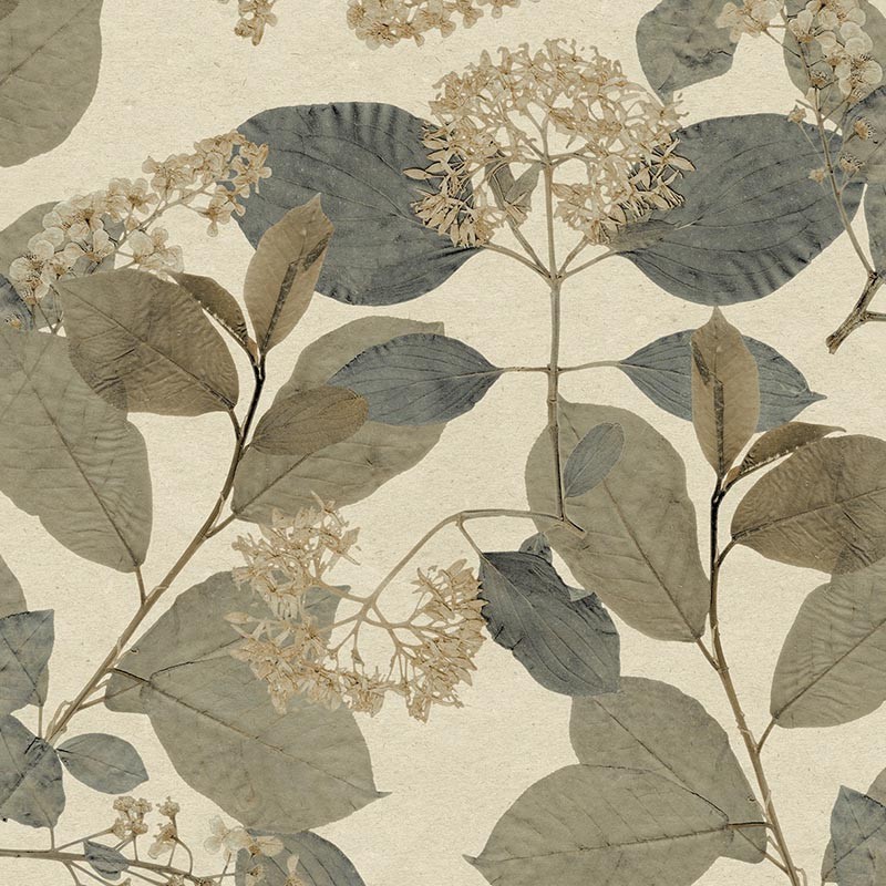 Papel pintado Herbarium 1173-5781